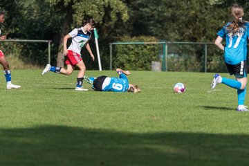Bild 78 - wBJ VfL Pinneberg - Hamburger SV 2 : Ergebnis: 1:3